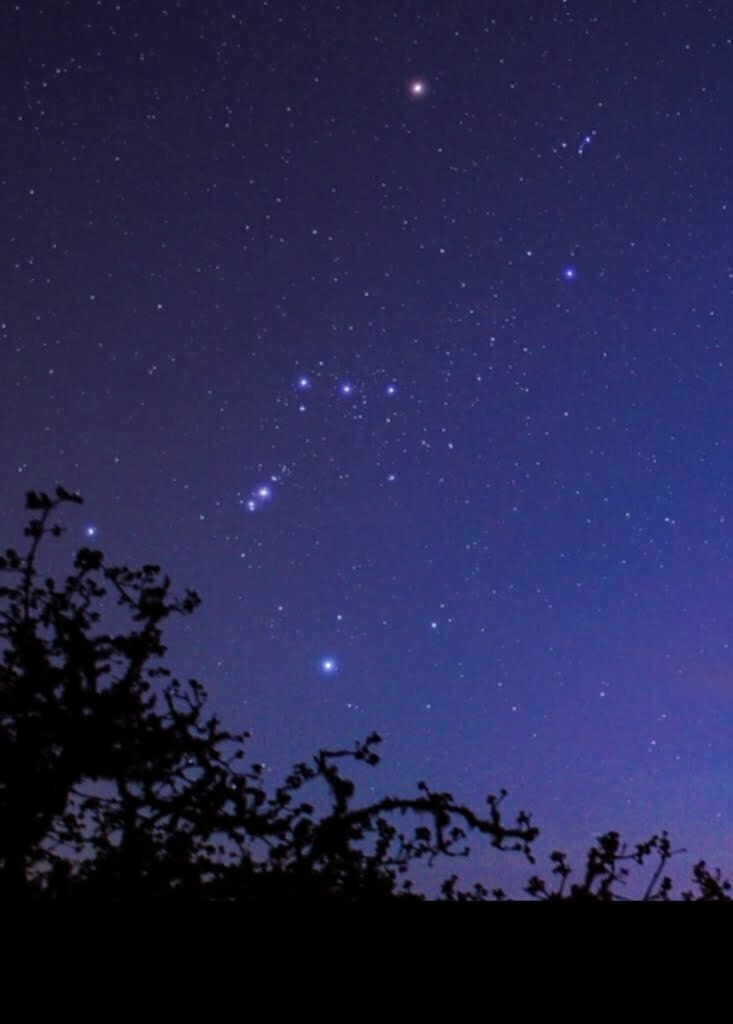 نجم الجوزاء