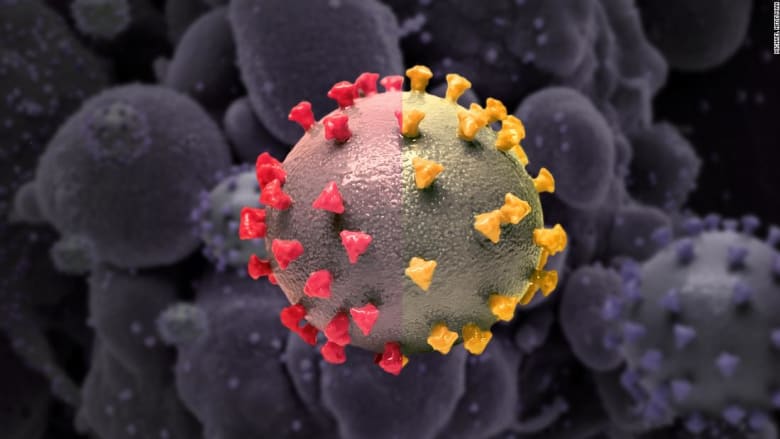 فيروس كورونا
