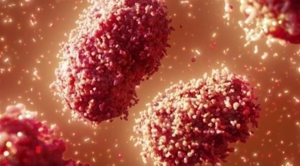 جدري القردة يفتك بإنجلترا