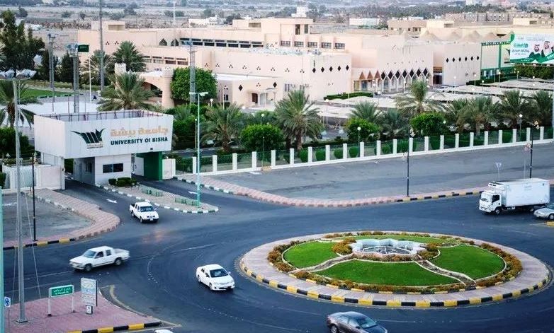 وظائف أكاديمية في جامعة بيشة