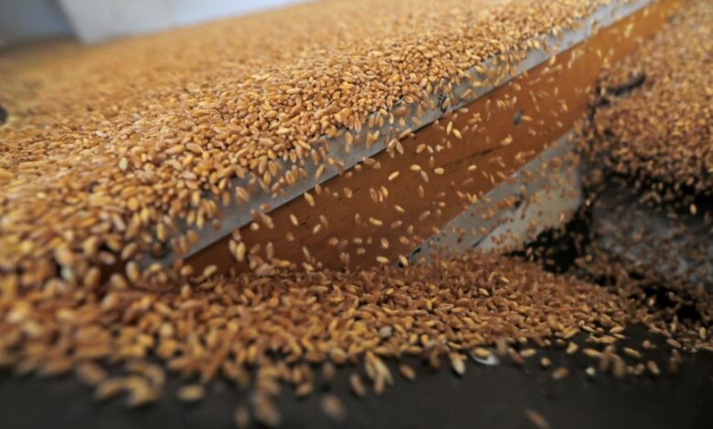 مصر لروسيا: السرقة حرام.. لانريد قمحا