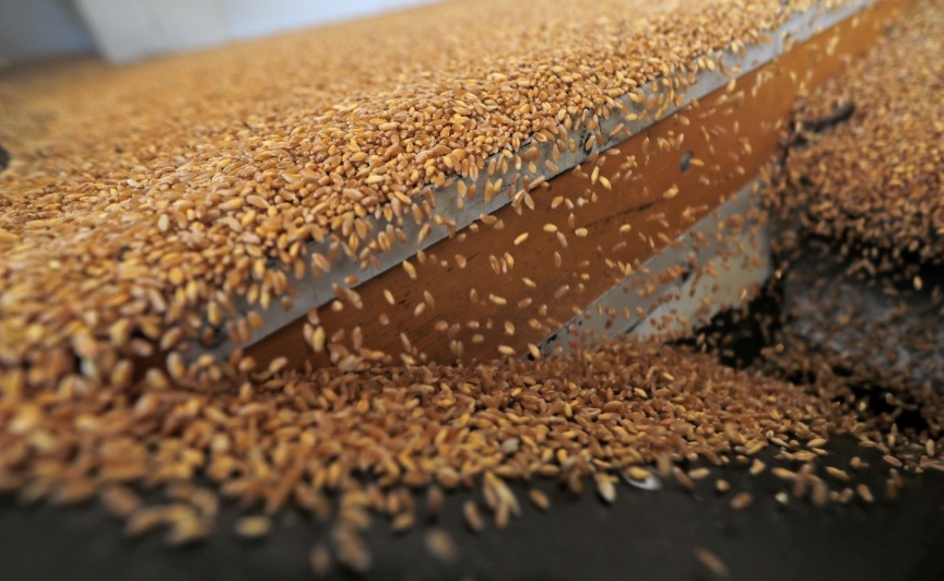 مصر لروسيا: السرقة حرام.. لانريد قمحا