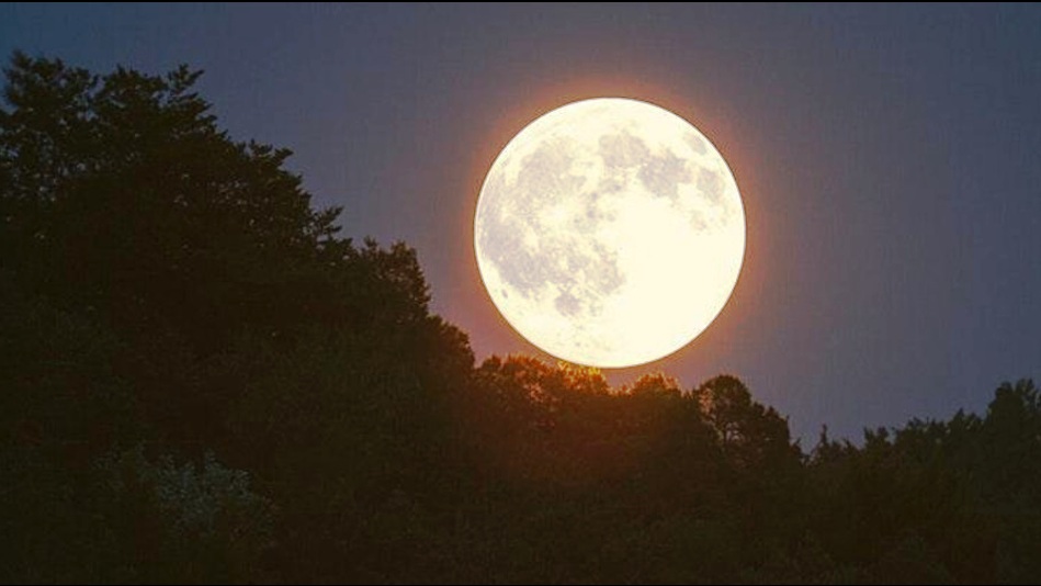 شاهد الفيديو.. ثاني بدر عملاق 2022 غدا الثلاثاء