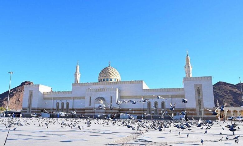 مسجد سيد الشهداء