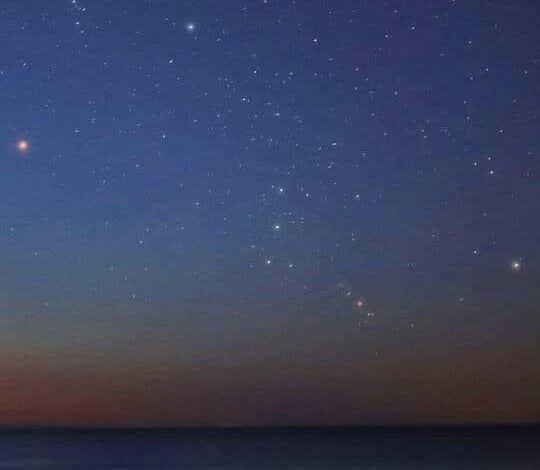 عودة الجوزاء لسماء الفجر