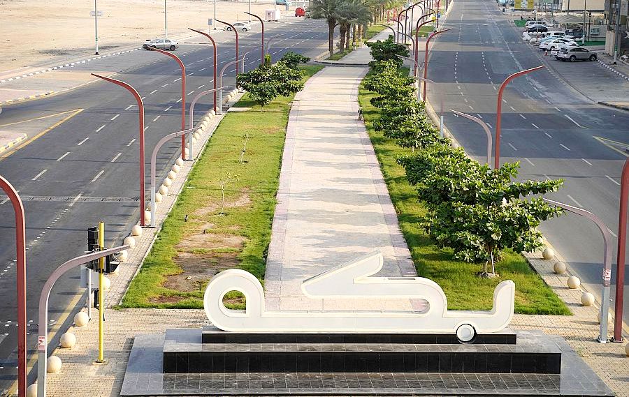 تنمية الغطاء النباتي بمكة المكرمة