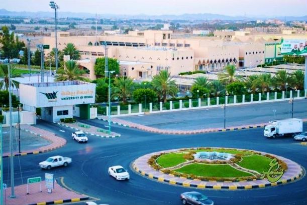 جامعة بيشة