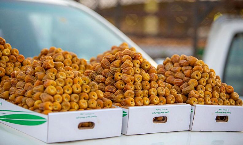 التمور السعودية