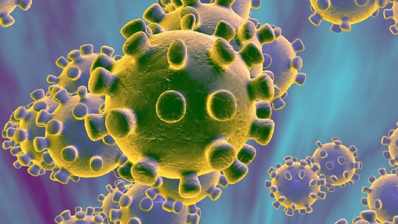 فيروس لانجيا القاتل