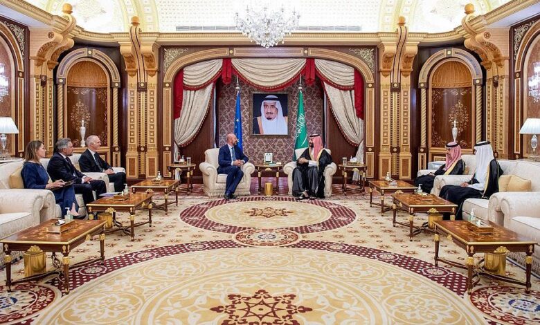 جانب من لقاء ولي العهد