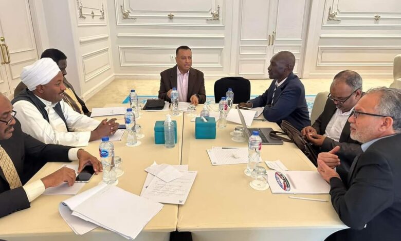 جعفر الميرغني