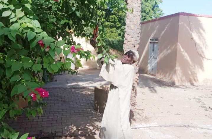 موظفي التخطيط في حملة النظافة