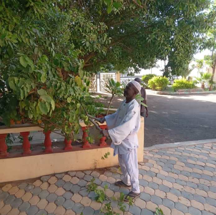 منسوبي التخطيط العمراني