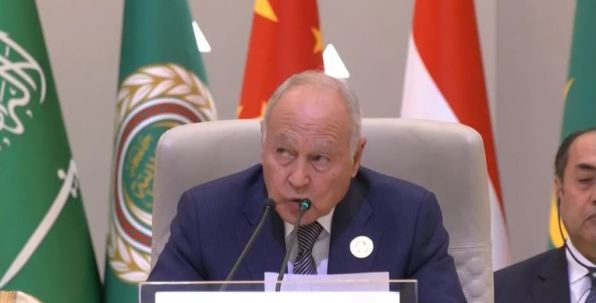 أحمد أبو الغيط