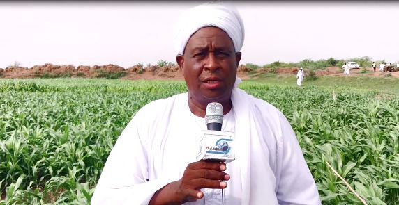 نصر الدين ود القاضي