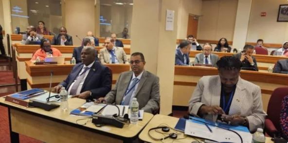 الفريق مفضل خلال مخاطبته الاجتماع الوزاري للدول الافريقية