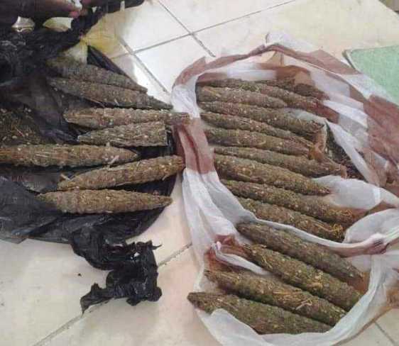 الحشيش المضبوط