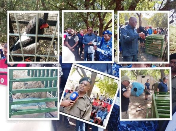 الحيوانات البرية تصل إلى بر الامان