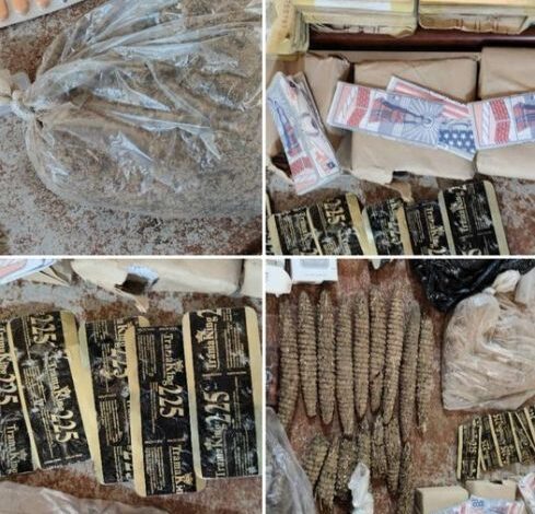المخدرات المضبوطة
