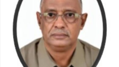 محمد الطيب عابدين