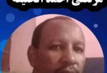 مرتضى أحمد الخليفة