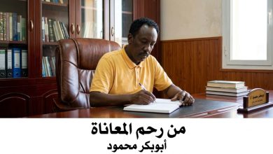 ابوبكر محمود