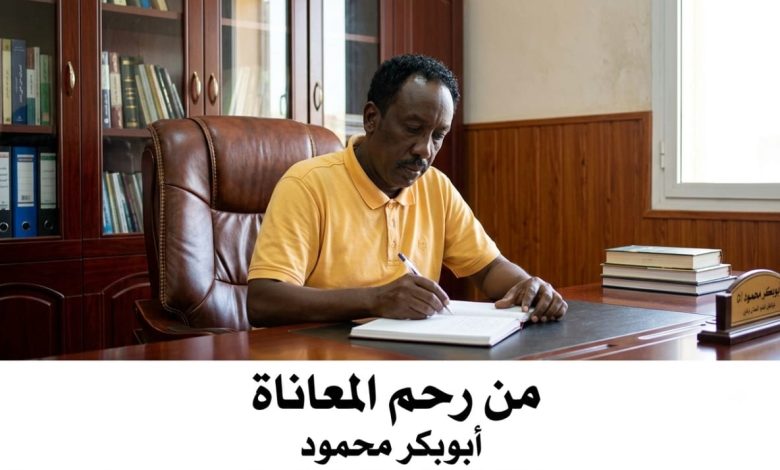 ابوبكر محمود
