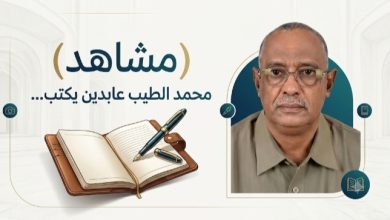محمد الطيب عابدين