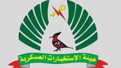 هيئة الاستخبارات العسكرية